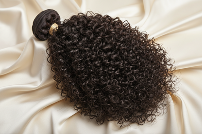 BURMESE CURLS
